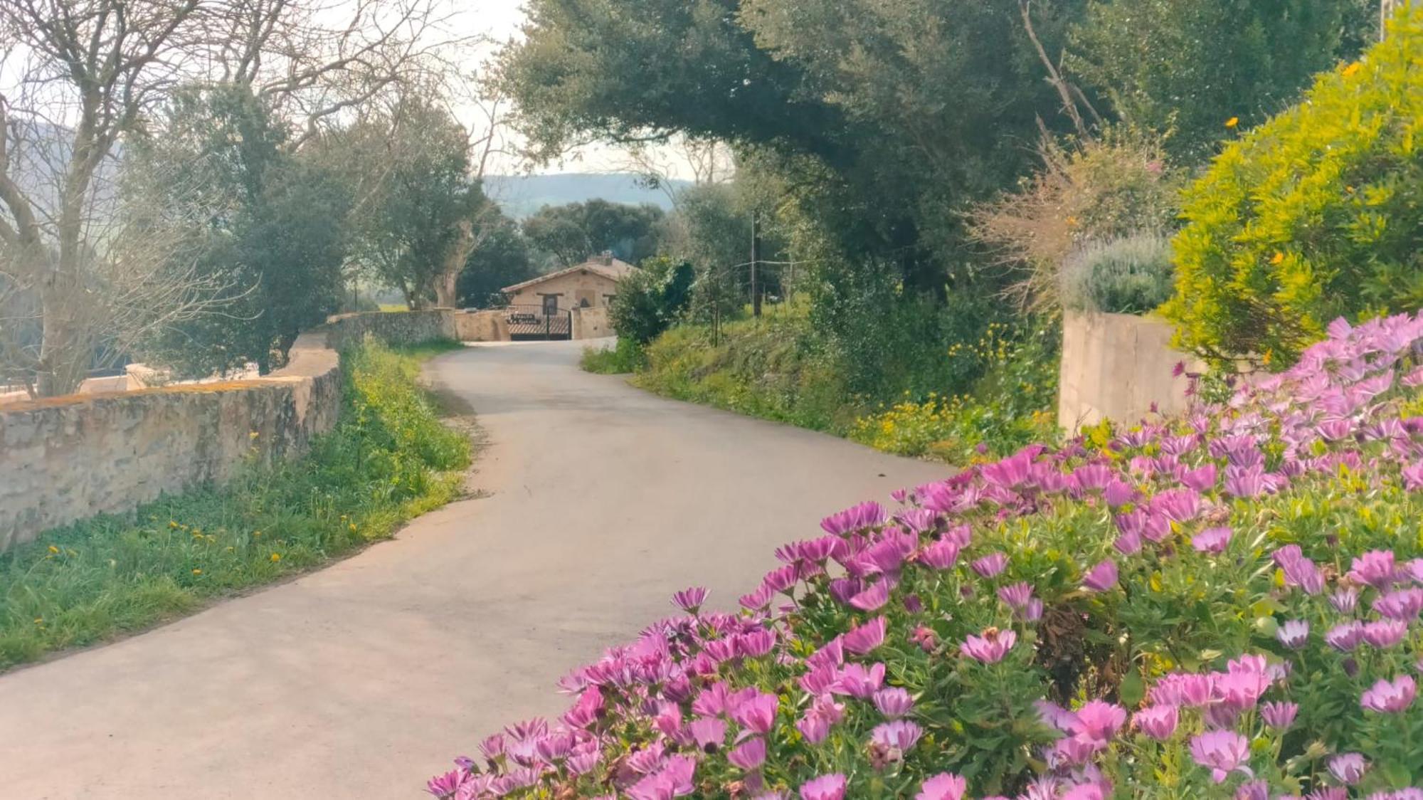 La Quinta Luxury Palace Arnuero Ngoại thất bức ảnh